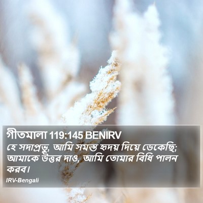 গীতমালা 119:145 BENIRV Bible Verse Image