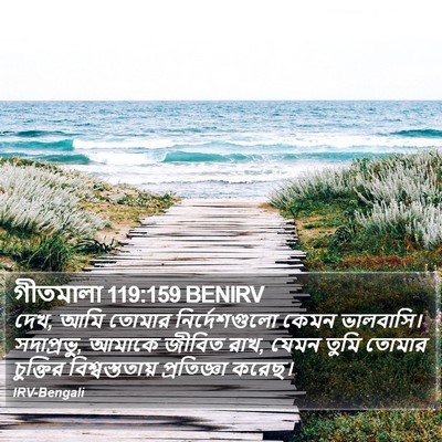 গীতমালা 119:159 BENIRV Bible Verse Image