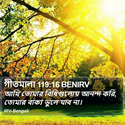 গীতমালা 119:16 BENIRV Bible Verse Image