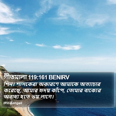 গীতমালা 119:161 BENIRV Bible Verse Image