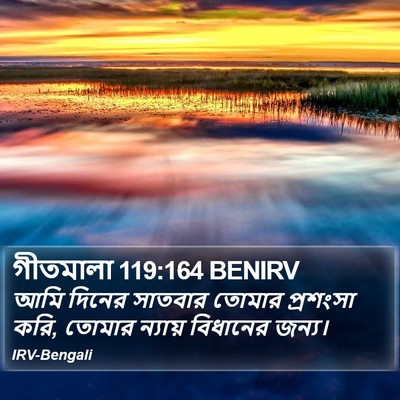 গীতমালা 119:164 BENIRV Bible Verse Image