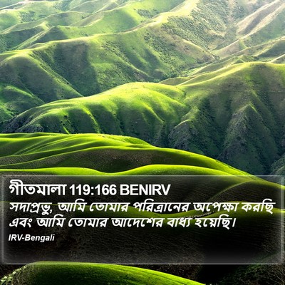 গীতমালা 119:166 BENIRV Bible Verse Image