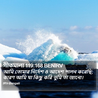 গীতমালা 119:168 BENIRV Bible Verse Image