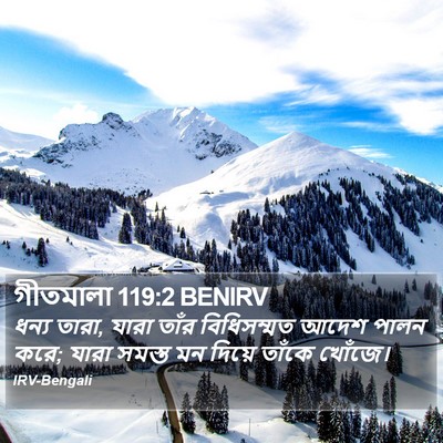 গীতমালা 119:2 BENIRV Bible Verse Image