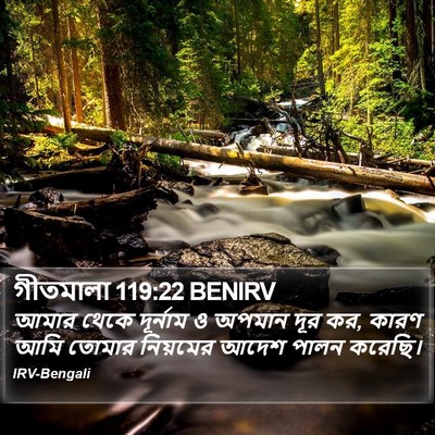 গীতমালা 119:22 BENIRV Bible Verse Image