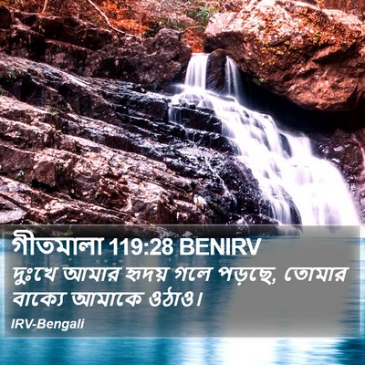 গীতমালা 119:28 BENIRV Bible Verse Image