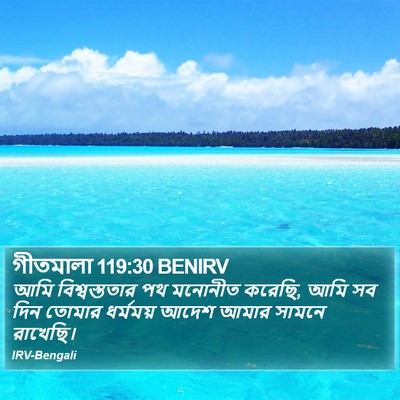 গীতমালা 119:30 BENIRV Bible Verse Image