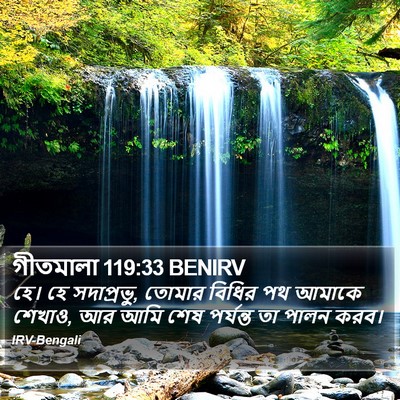 গীতমালা 119:33 BENIRV Bible Verse Image