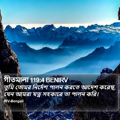 গীতমালা 119:4 BENIRV Bible Verse Image
