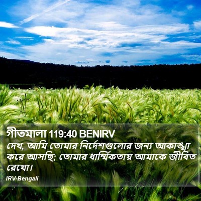 গীতমালা 119:40 BENIRV Bible Verse Image