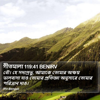 গীতমালা 119:41 BENIRV Bible Verse Image