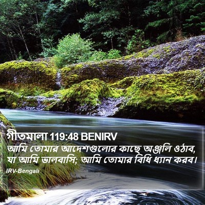 গীতমালা 119:48 BENIRV Bible Verse Image