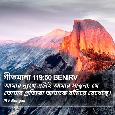 গীতমালা 119:50 BENIRV Bible Verse Image