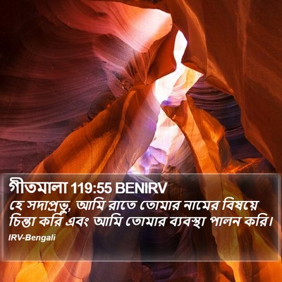 গীতমালা 119:55 BENIRV Bible Verse Image