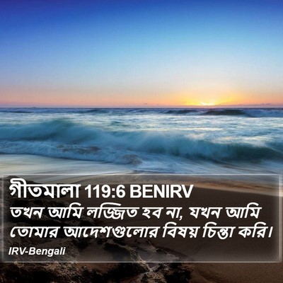 গীতমালা 119:6 BENIRV Bible Verse Image