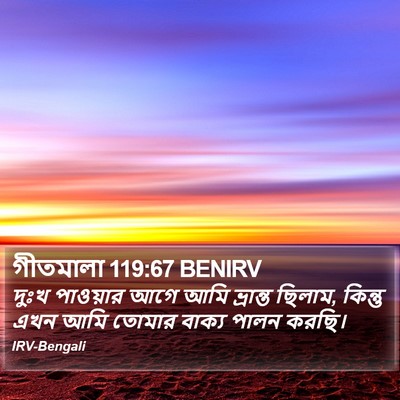 গীতমালা 119:67 BENIRV Bible Verse Image
