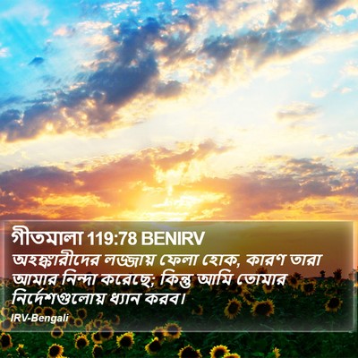 গীতমালা 119:78 BENIRV Bible Verse Image
