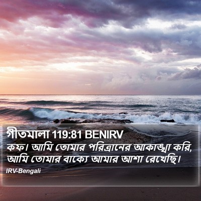 গীতমালা 119:81 BENIRV Bible Verse Image