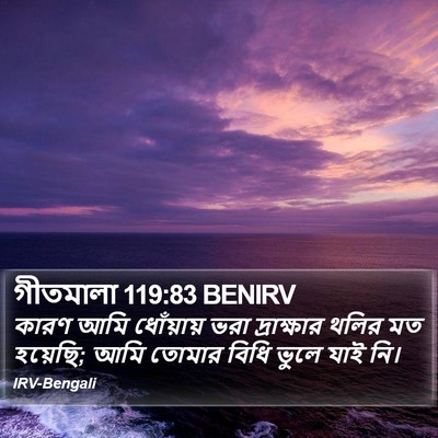 গীতমালা 119:83 BENIRV Bible Verse Image