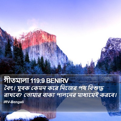 গীতমালা 119:9 BENIRV Bible Verse Image