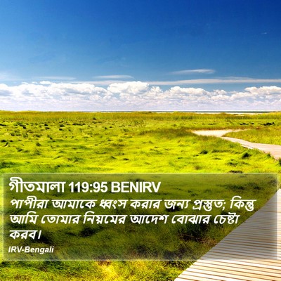 গীতমালা 119:95 BENIRV Bible Verse Image