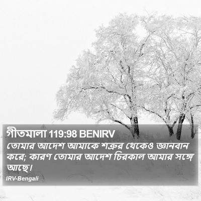 গীতমালা 119:98 BENIRV Bible Verse Image