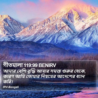 গীতমালা 119:99 BENIRV Bible Verse Image