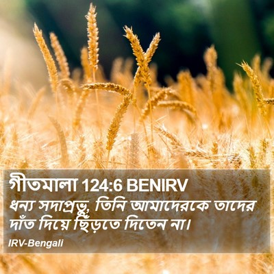গীতমালা 124:6 BENIRV Bible Verse Image