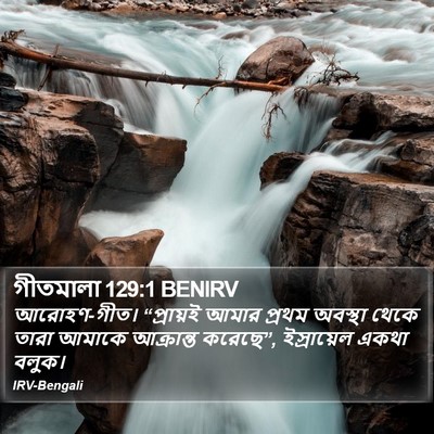 গীতমালা 129:1 BENIRV Bible Verse Image
