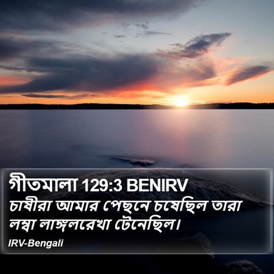 গীতমালা 129:3 BENIRV Bible Verse Image