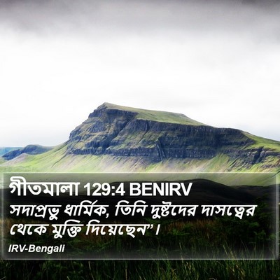 গীতমালা 129:4 BENIRV Bible Verse Image