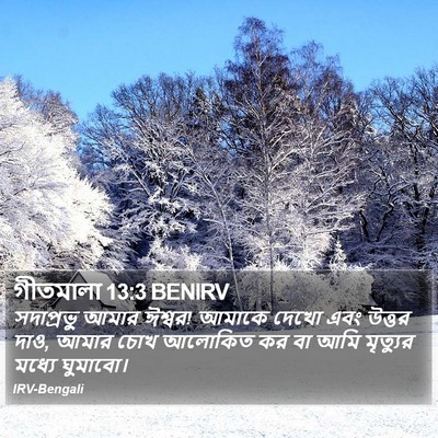 গীতমালা 13:3 BENIRV Bible Verse Image