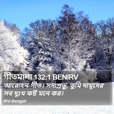 গীতমালা 132:1 BENIRV Bible Verse Image