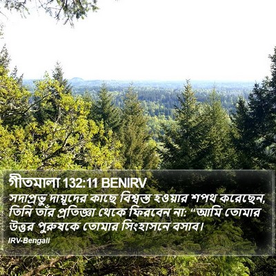 গীতমালা 132:11 BENIRV Bible Verse Image