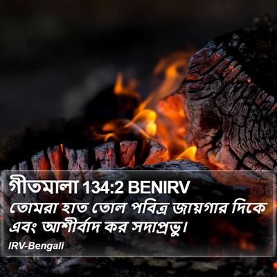 গীতমালা 134:2 BENIRV Bible Verse Image
