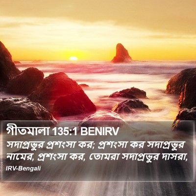 গীতমালা 135:1 BENIRV Bible Verse Image