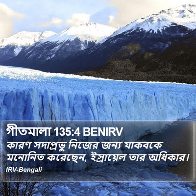 গীতমালা 135:4 BENIRV Bible Verse Image