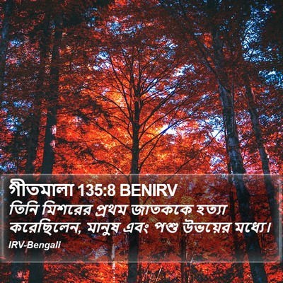 গীতমালা 135:8 BENIRV Bible Verse Image