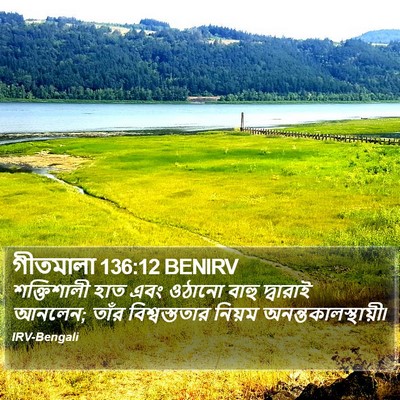 গীতমালা 136:12 BENIRV Bible Verse Image