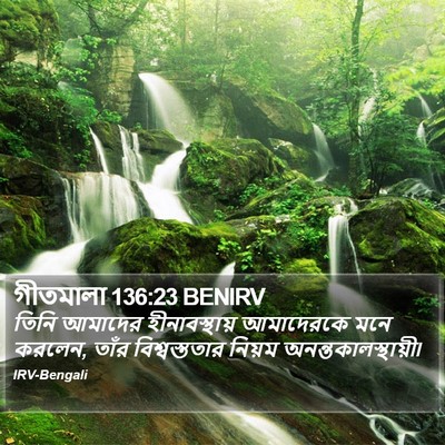 গীতমালা 136:23 BENIRV Bible Verse Image