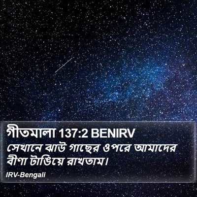 গীতমালা 137:2 BENIRV Bible Verse Image
