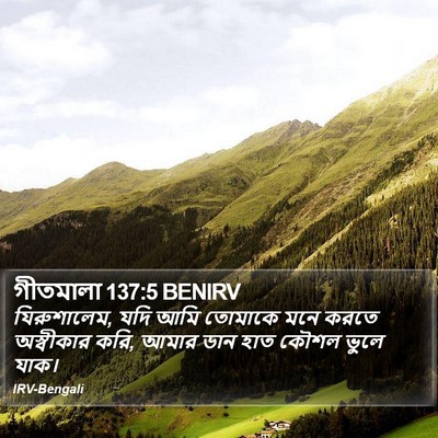 গীতমালা 137:5 BENIRV Bible Verse Image