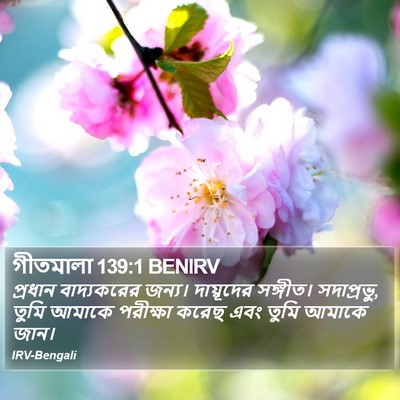 গীতমালা 139:1 BENIRV Bible Verse Image