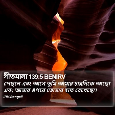 গীতমালা 139:5 BENIRV Bible Verse Image