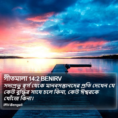 গীতমালা 14:2 BENIRV Bible Verse Image