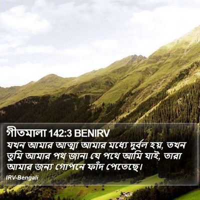 গীতমালা 142:3 BENIRV Bible Verse Image