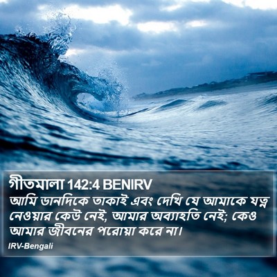 গীতমালা 142:4 BENIRV Bible Verse Image
