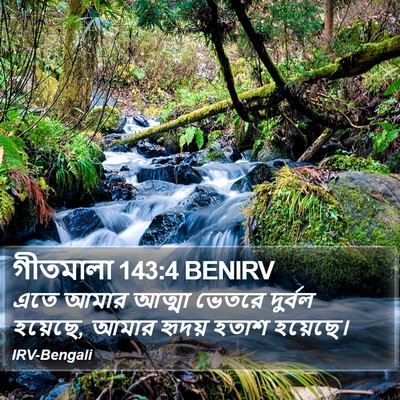 গীতমালা 143:4 BENIRV Bible Verse Image