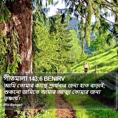 গীতমালা 143:6 BENIRV Bible Verse Image