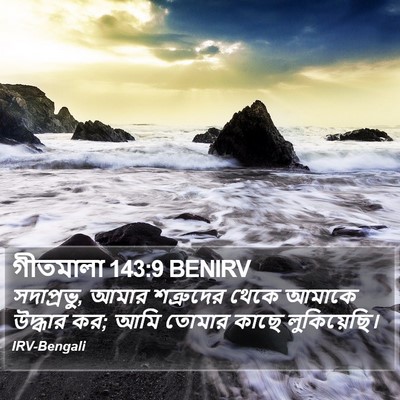 গীতমালা 143:9 BENIRV Bible Verse Image